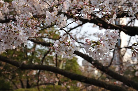 1003221640_DSC_1378