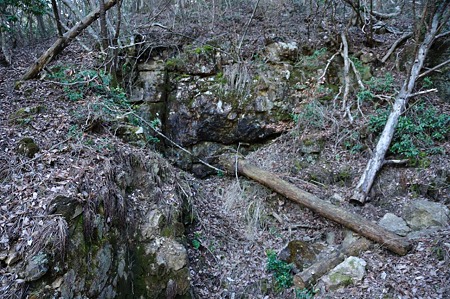 1004081457_DSC_2401