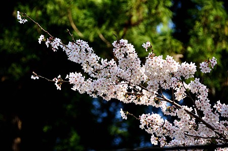 1004081644_DSC_2656