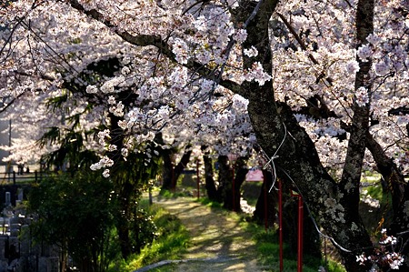 1004081647_DSC_2670