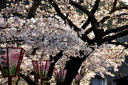 1004081656_DSC_2723