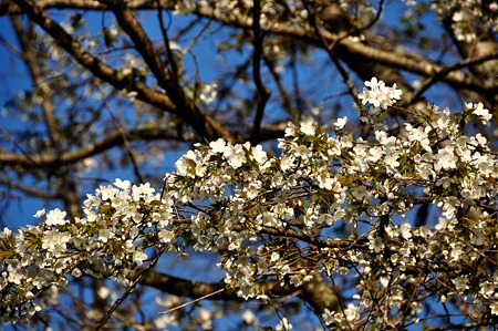 1004081721_DSC_2761