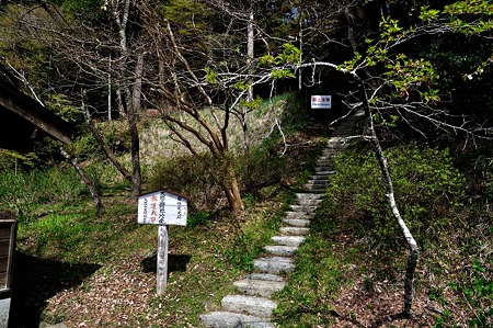 1005030859_DSC_3028
