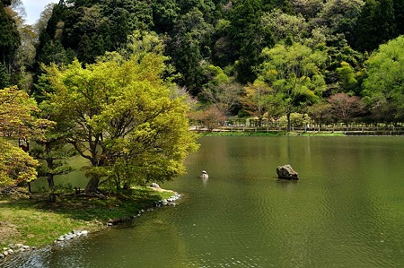 1005031033_DSC_3085