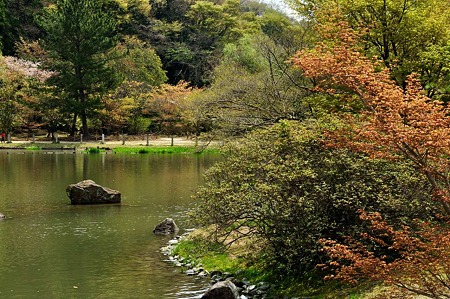 1005031034_DSC_3089