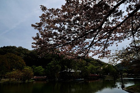 1005031049_DSC_3153