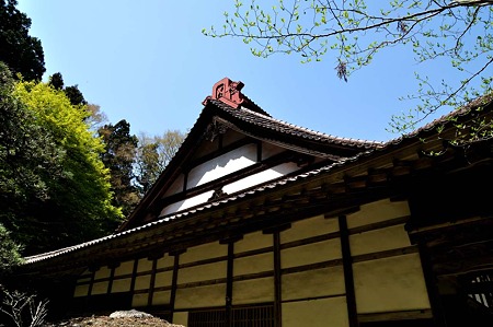 1005031247_DSC_3223