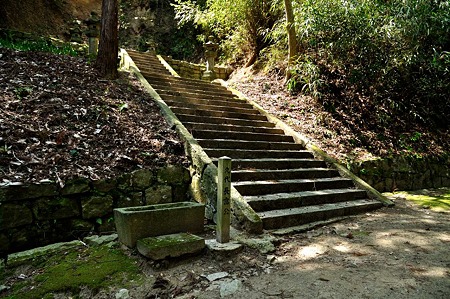 1005031248_DSC_3231