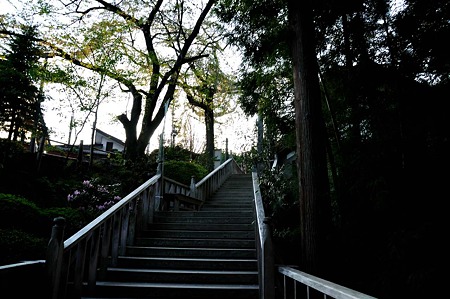 1005031736_DSC_4182