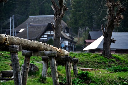 1005041714_DSC_4875