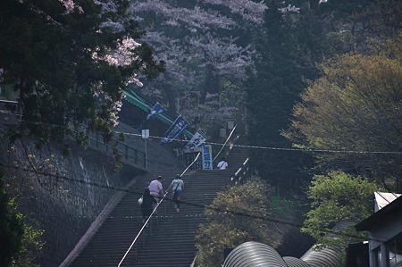 1005050811_DSC_4941