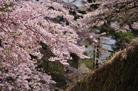 1005051216_DSC_5529