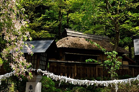 1005061155_DSC_6671
