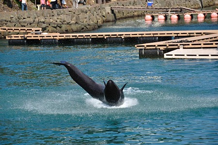 1009191423_DSC_2025