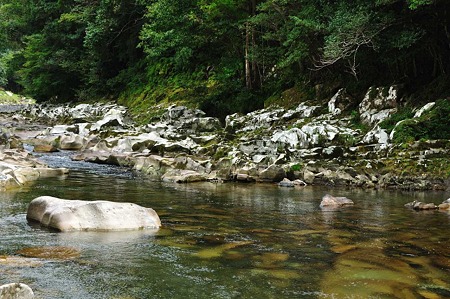 1009201145_DSC_2873