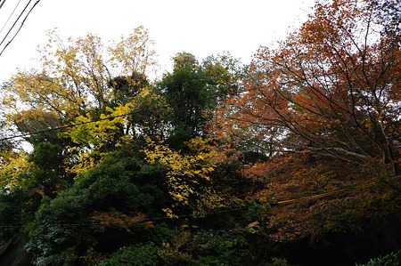 1011230725_DSC_4091