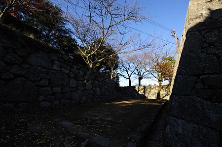 1011231535_DSC_4804