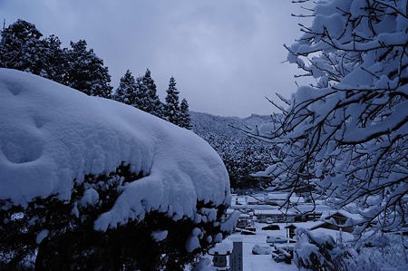1101010753_DSC_5806