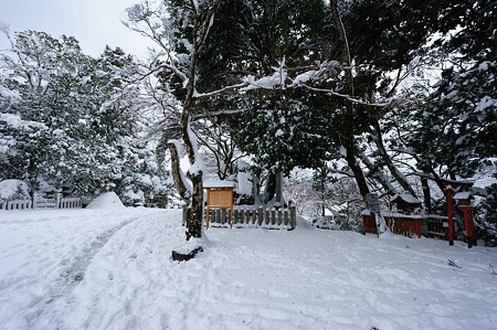 1101011041_DSC_5940