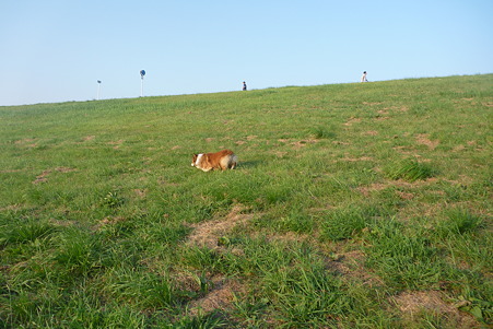P1010993