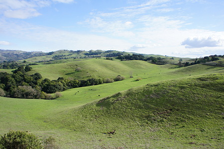 DSC02476