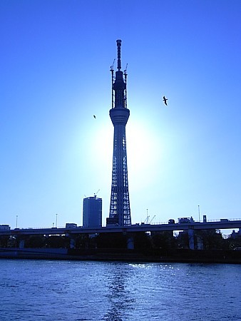 逆さスカイツリー