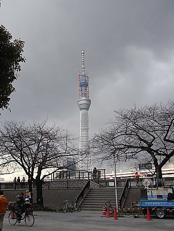 デマ被害