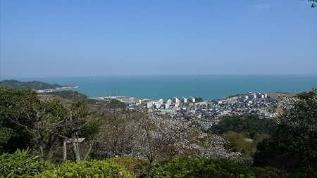 白野江植物公園(5)