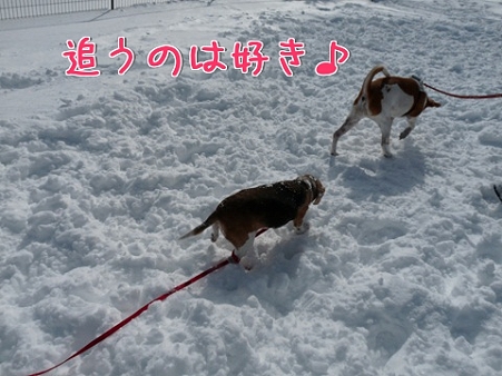 追うのは