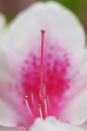 nex511050113