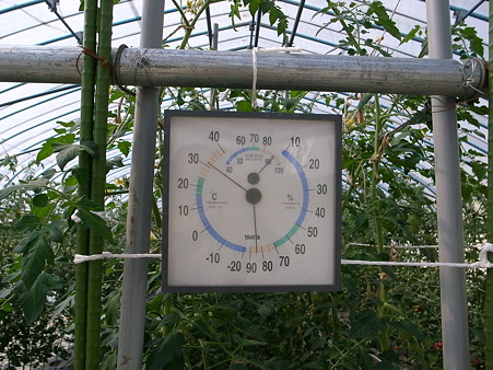 ハウス温度