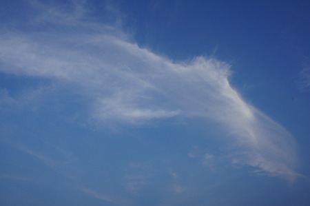 イルカ雲