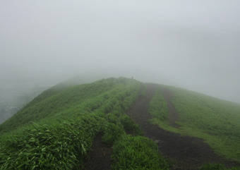 IMG_5771_web