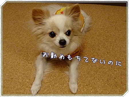 してないのに