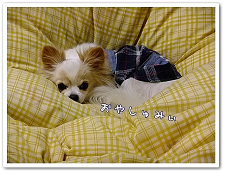 おやすみ