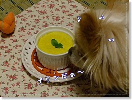 カボチャプリン