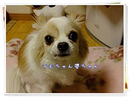 美味ちいもん