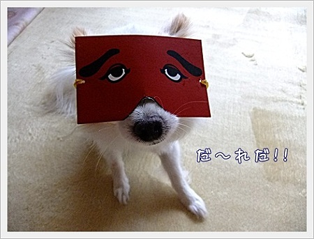 どんたく