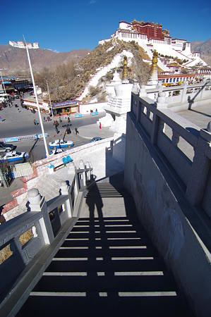 IMGP0955