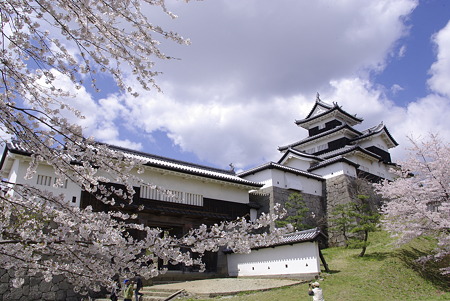 白河小峰城と桜。