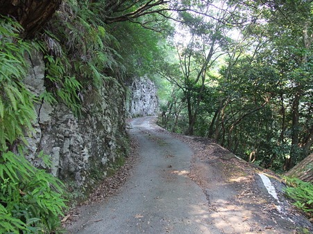 和歌山r43・3