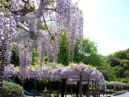 fuji3