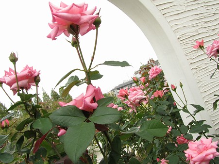 sIMG_1172