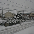1月２２日雪の朝