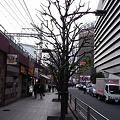 20090404東京ミッドタウンの夜桜