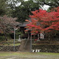 2023年11月26日 諏訪神社の紅葉