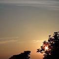 いつもの公園にて
