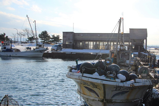 Photos: ホタテ漁船と処理場